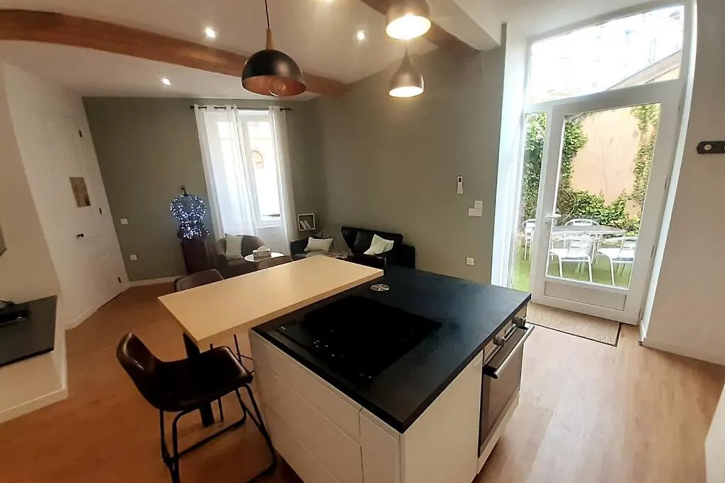 Classe 4 Etoiles - Cybele - Centre Ville 2 Chambres, Cour Privative Et Garage Vienne  0*, Vienne (Isere) France