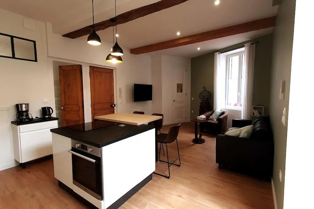 Classe 4 Etoiles - Cybele - Centre Ville 2 Chambres, Cour Privative Et Garage Vienne
