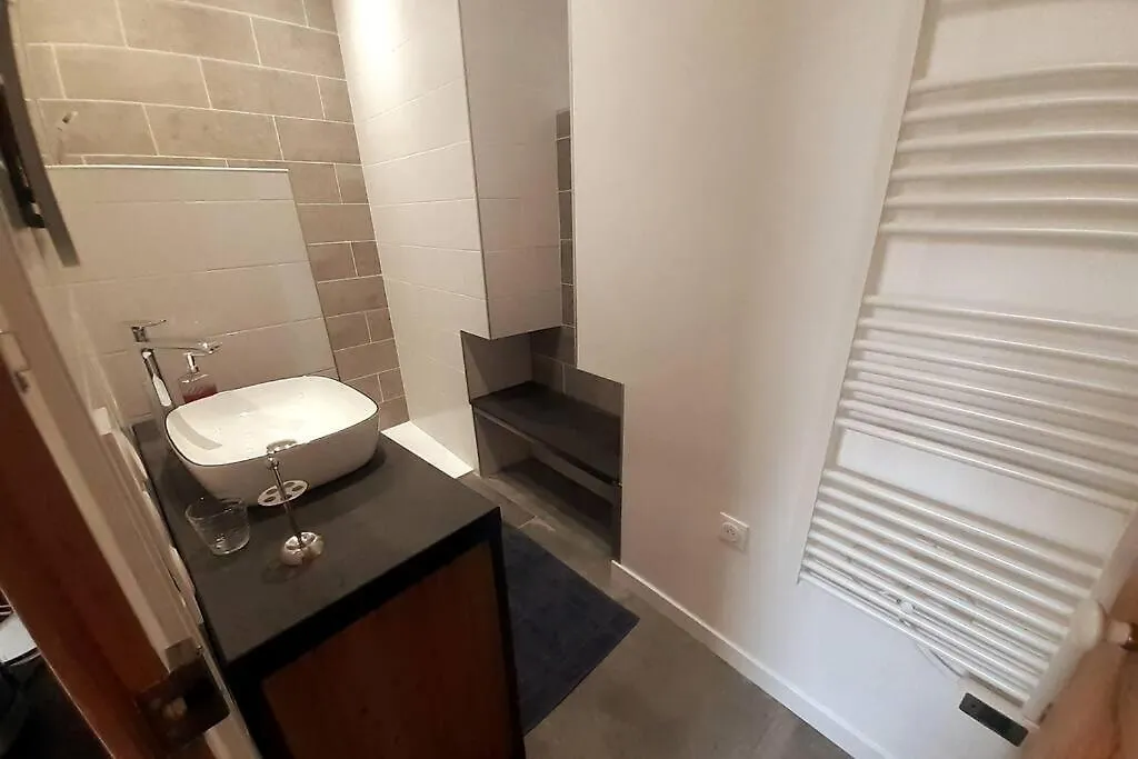 Classe 4 Etoiles - Cybele - Centre Ville 2 Chambres, Cour Privative Et Garage Vienne
