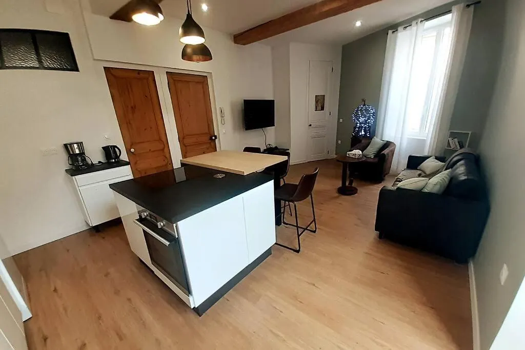 Apartment Classe 4 Etoiles - Cybele - Centre Ville 2 Chambres, Cour Privative Et Garage Vienne